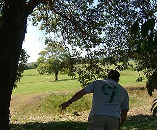 Disc Golf New Zealand